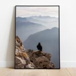Alpine Chough Bird preview framed picture