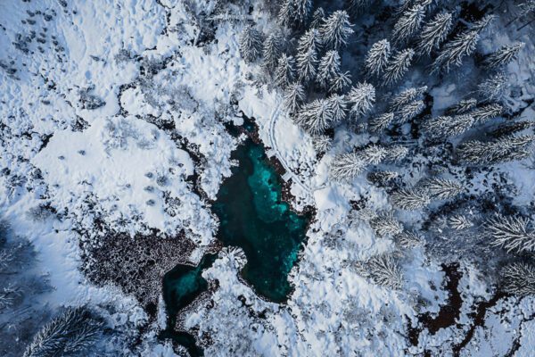 Winter emerald perfection at Zelenci